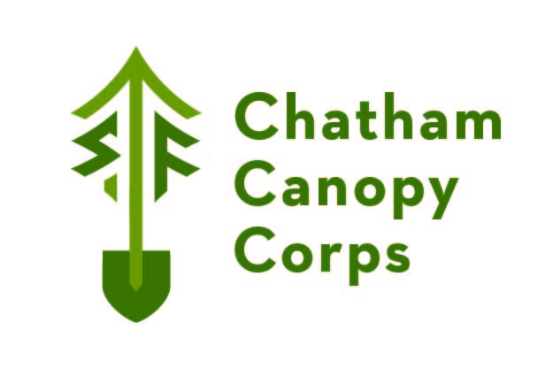 Trees Across Georgia