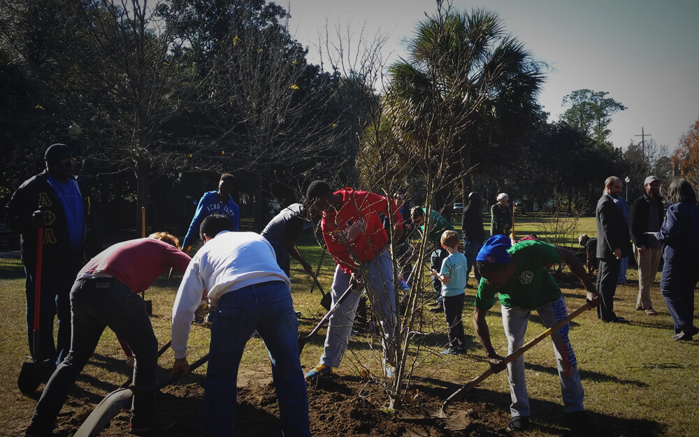 Savannah Tree Foundation, Savannah, GA - Donate Today!